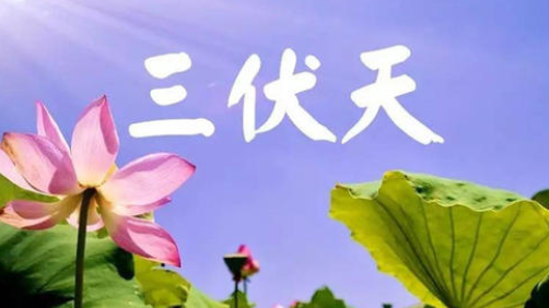入伏，或開(kāi)啟蒸煮模式-普樂(lè)斯等離子清洗機(jī)